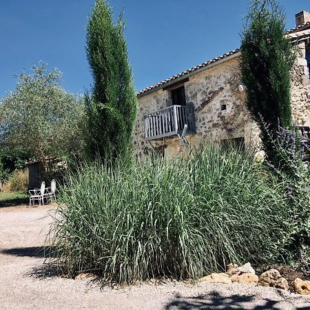Le Gite De La Maison Des Chats - Gite En Quercy Saint-Amans-du-Pech Exterior foto