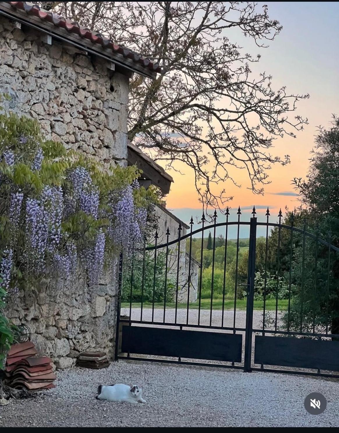 Le Gite De La Maison Des Chats - Gite En Quercy Saint-Amans-du-Pech Exterior foto